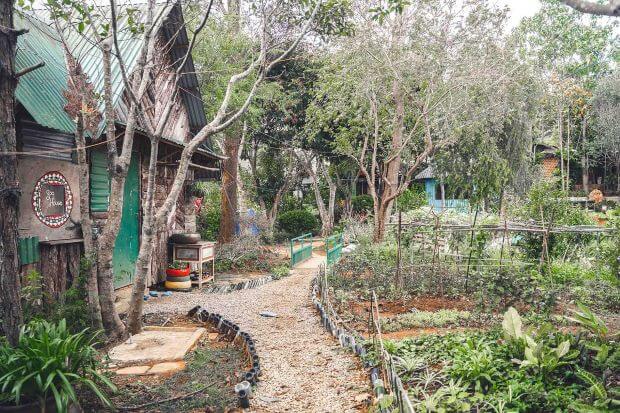 Top 10 homestay đẹp ở Đà Lạt - The Lake House Dalat – Ngôi Nhà Bên Hồ