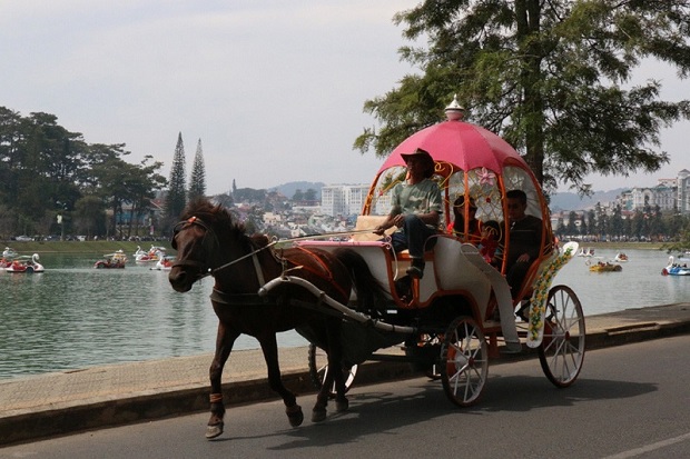 Đi xe ngựa quanh hồ Xuân Hương